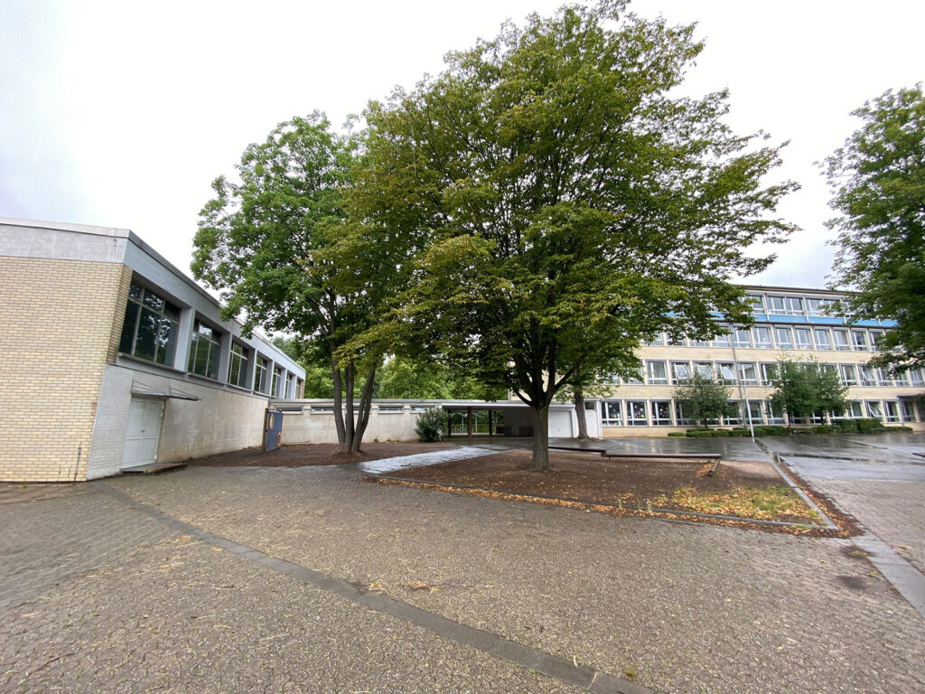 Friedrich-Ebert-Gymnasium, Bonn